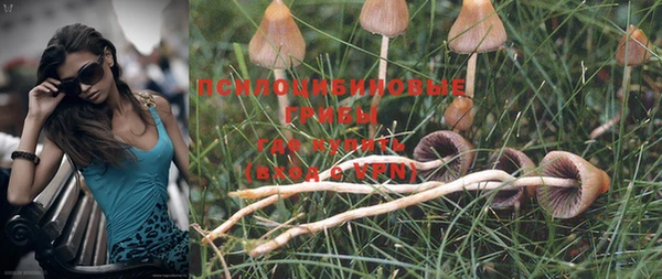 дурь Нея