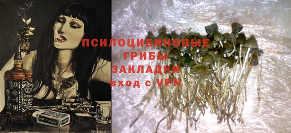 дурь Нея