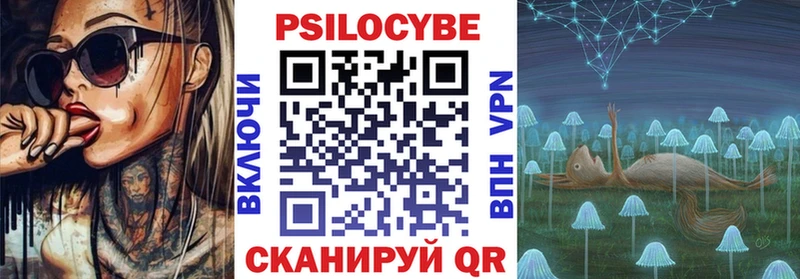 Купить закладки  Кола  Псилоцибиновые грибы Cubensis 